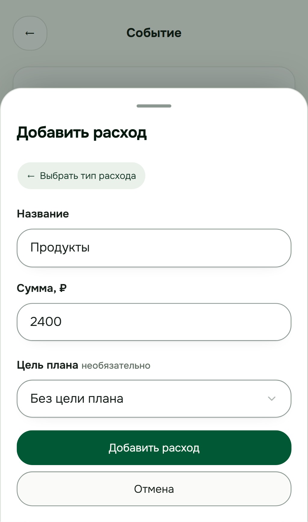 Форма обычного расхода: продукты, сумма 2400 рублей, цель плана и кнопка добавления.